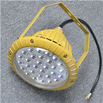 防爆燈廠家YBLD-003免維護(hù)LED防爆吸頂燈WF2