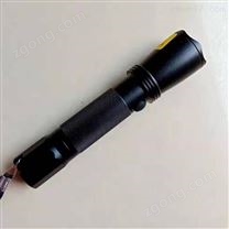 SF007-1LED3瓦工業(yè)防爆手電