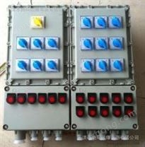 帶漏電保護(hù)器防爆配電箱型號(hào)BXMD