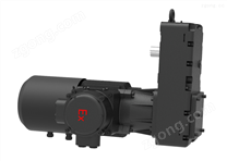 新型防爆葫芦起升驱动装置